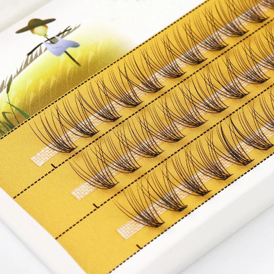 Beauty Bliss Cosmetics - Luxurious Lashes & Flawless Finishes